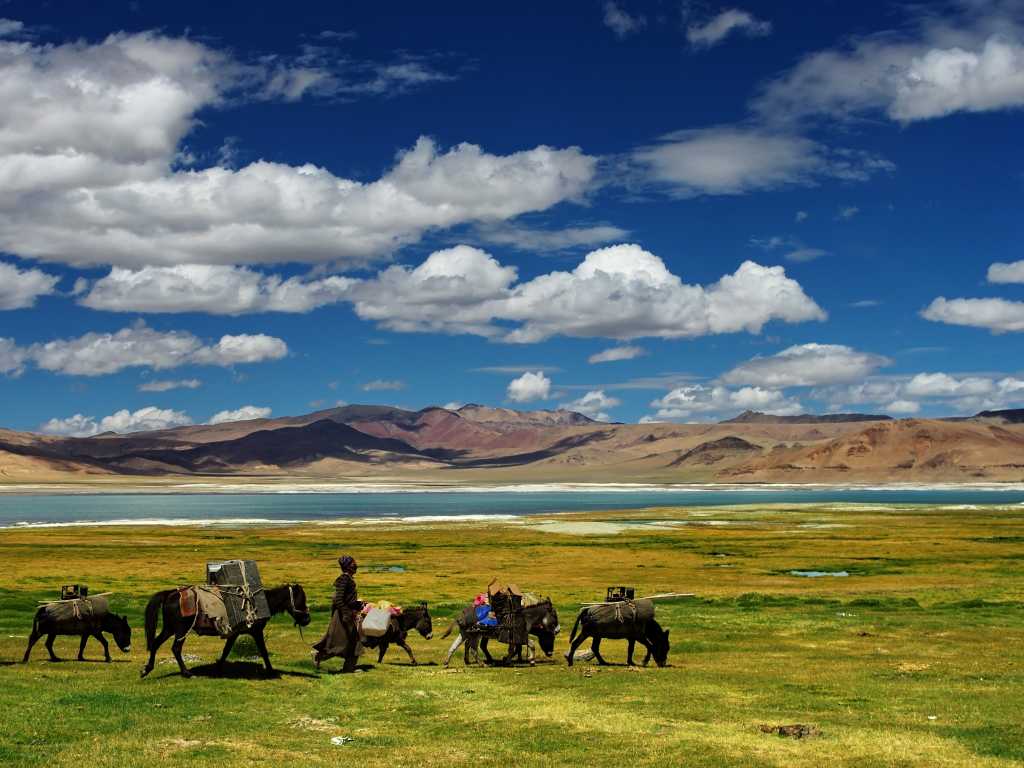 Wonders of Ladakh 9N10D Tour | FREE Inner Line Permits